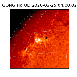 gong - 2026-03-25T04:00:02