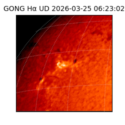 gong - 2026-03-25T06:23:02