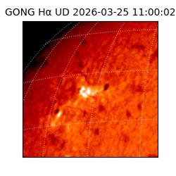 gong - 2026-03-25T11:00:02