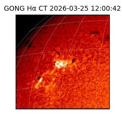 gong - 2026-03-25T12:00:42