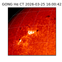 gong - 2026-03-25T16:00:42