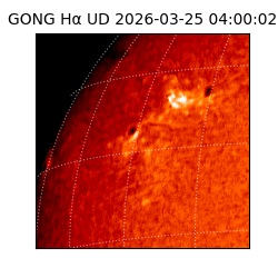 gong - 2026-03-25T04:00:02