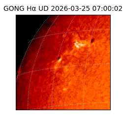 gong - 2026-03-25T07:00:02