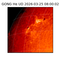 gong - 2026-03-25T08:00:02