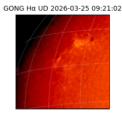 gong - 2026-03-25T09:21:02