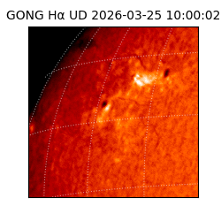 gong - 2026-03-25T10:00:02