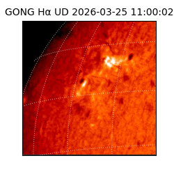 gong - 2026-03-25T11:00:02