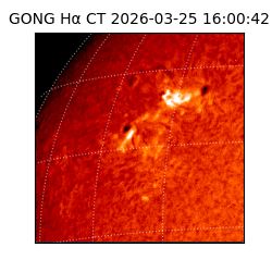 gong - 2026-03-25T16:00:42