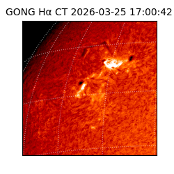 gong - 2026-03-25T17:00:42