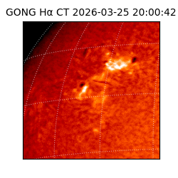 gong - 2026-03-25T20:00:42