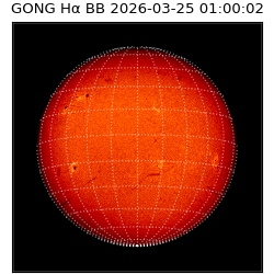 gong - 2026-03-25T01:00:02
