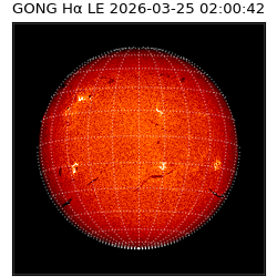 gong - 2026-03-25T02:00:42