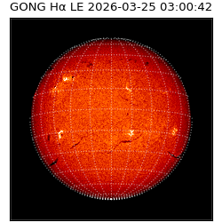 gong - 2026-03-25T03:00:42