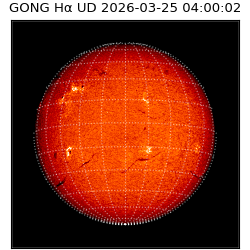 gong - 2026-03-25T04:00:02