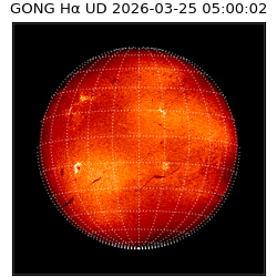gong - 2026-03-25T05:00:02