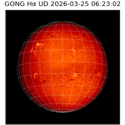 gong - 2026-03-25T06:23:02