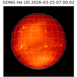 gong - 2026-03-25T07:00:02