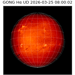 gong - 2026-03-25T08:00:02