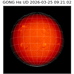 gong - 2026-03-25T09:21:02