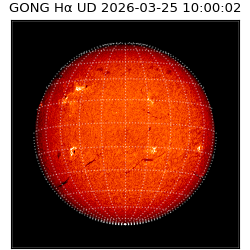 gong - 2026-03-25T10:00:02
