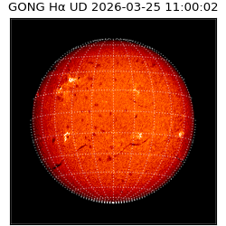 gong - 2026-03-25T11:00:02
