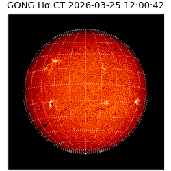 gong - 2026-03-25T12:00:42