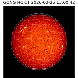 gong - 2026-03-25T13:00:42