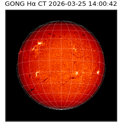 gong - 2026-03-25T14:00:42