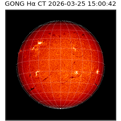 gong - 2026-03-25T15:00:42