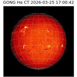 gong - 2026-03-25T17:00:42