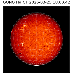 gong - 2026-03-25T18:00:42