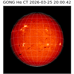 gong - 2026-03-25T20:00:42