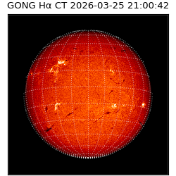 gong - 2026-03-25T21:00:42