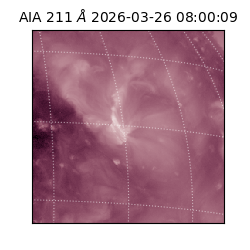 saia - 2026-03-26T08:00:09.630000