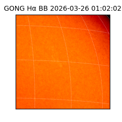 gong - 2026-03-26T01:02:02