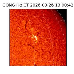 gong - 2026-03-26T13:00:42