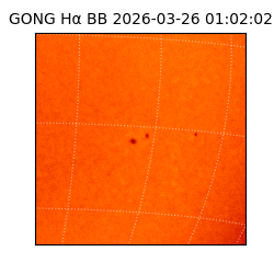 gong - 2026-03-26T01:02:02