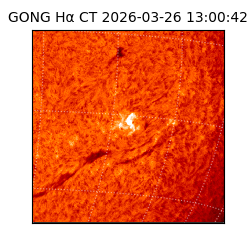 gong - 2026-03-26T13:00:42