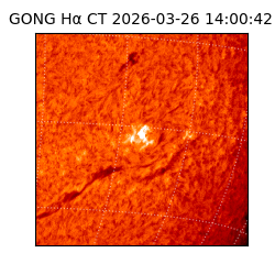 gong - 2026-03-26T14:00:42