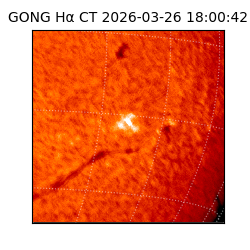 gong - 2026-03-26T18:00:42