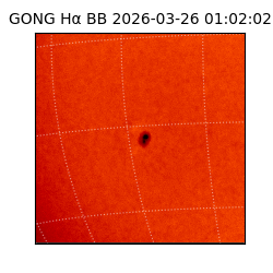 gong - 2026-03-26T01:02:02