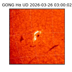 gong - 2026-03-26T03:00:02