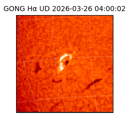 gong - 2026-03-26T04:00:02