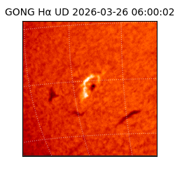 gong - 2026-03-26T06:00:02