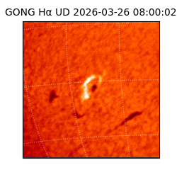 gong - 2026-03-26T08:00:02