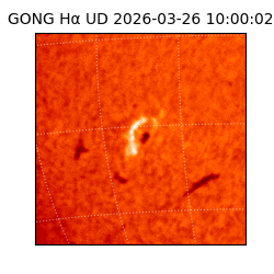 gong - 2026-03-26T10:00:02