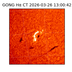 gong - 2026-03-26T13:00:42