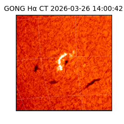 gong - 2026-03-26T14:00:42