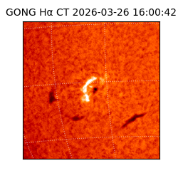 gong - 2026-03-26T16:00:42