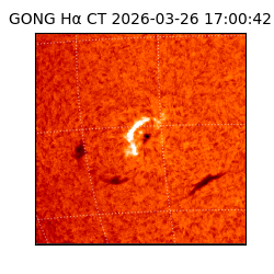 gong - 2026-03-26T17:00:42